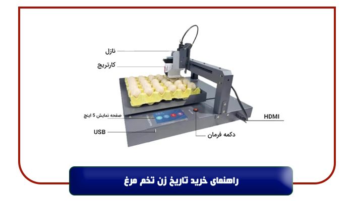 راهنمای خرید تاریخ زن تخم مرغ